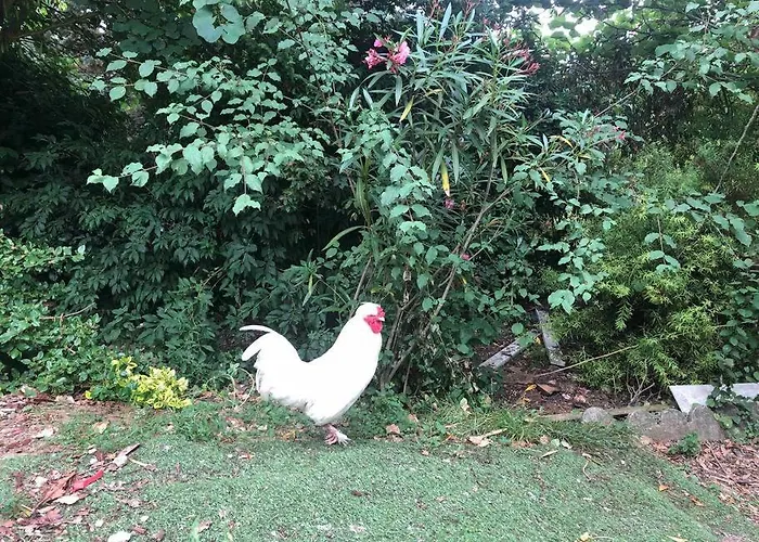 Entier Entree Autonome Ch,sdd,cs Privatives