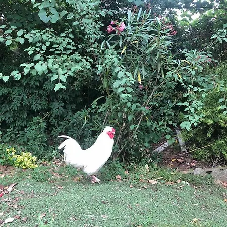 Entier Entree Autonome Ch,sdd,cs Privatives